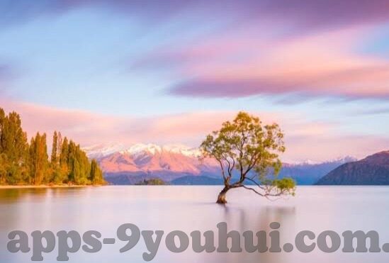 mk中国官网入口-MK官方网站的独特魅力与购物体验——打造专属时尚之旅